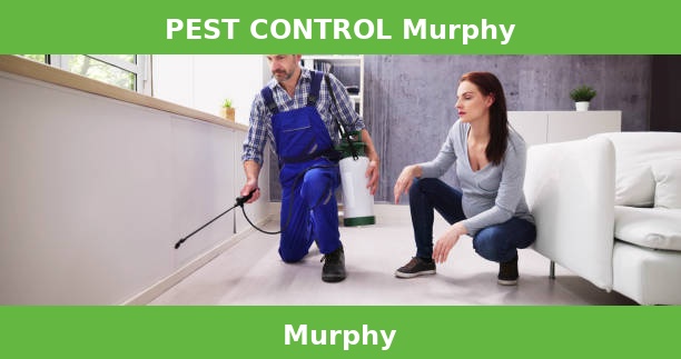 PEST CONTROL Murphy